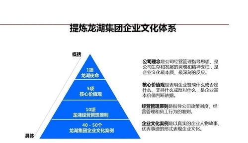 龍湖企業(yè)管理與運(yùn)營(yíng)精細(xì)化管理